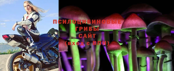 прущая мука Арсеньев