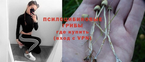 прущая мука Арсеньев