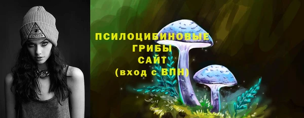 прущая мука Арсеньев