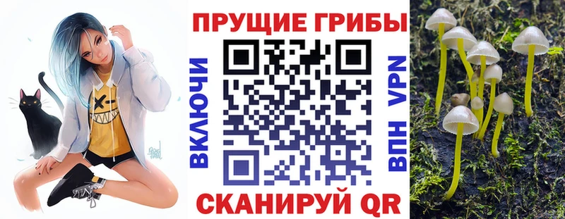 Галлюциногенные грибы Magic Shrooms  гидра ONION  Михайлов 